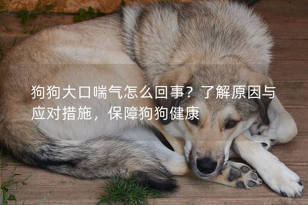 狗狗大口喘氣怎么回事？了解原因與應對措施，保障狗狗健康