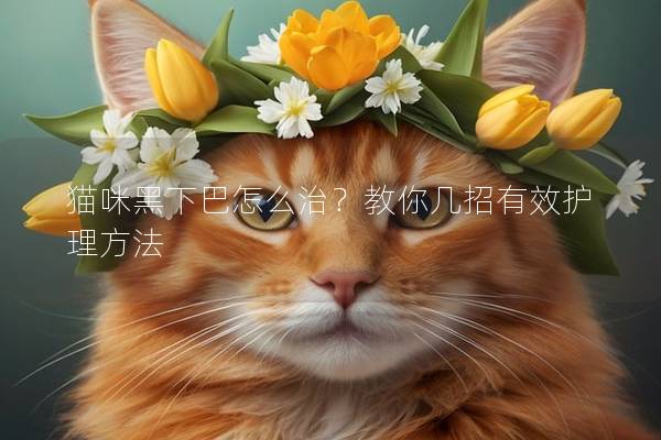 貓咪黑下巴怎么治？教你幾招有效護理方法