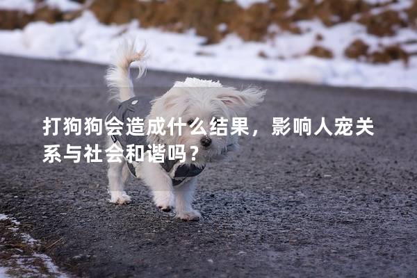 打狗狗會造成什么結果，影響人寵關系與社會和諧嗎？