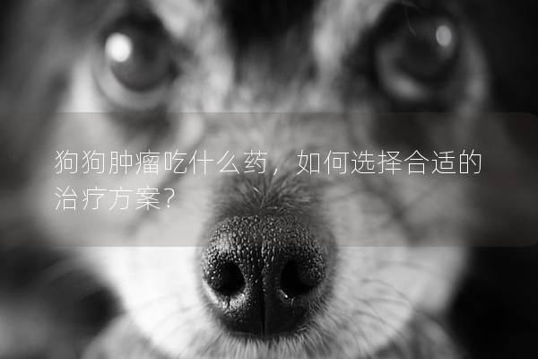 狗狗腫瘤吃什么藥，如何選擇合適的治療方案？
