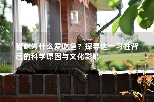 貓咪為什么愛吃魚？探尋這一習性背后的科學原因與文化影響