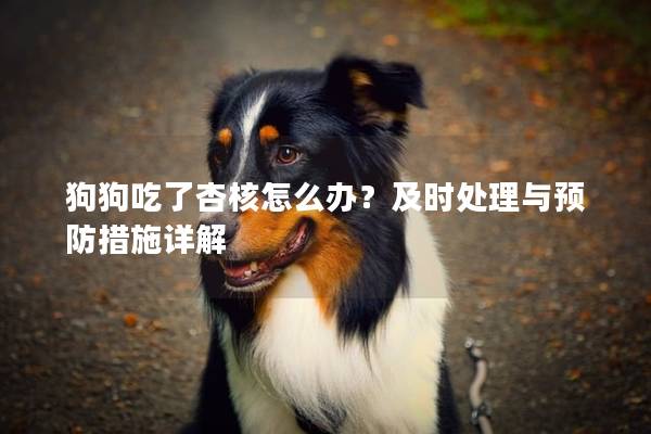 狗狗吃了杏核怎么辦？及時處理與預防措施詳解