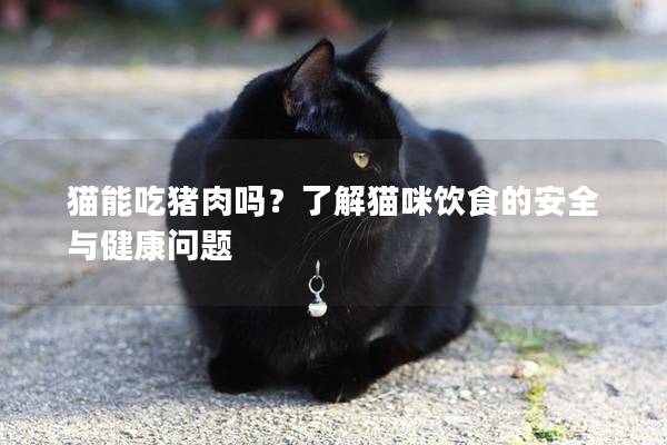 貓能吃豬肉嗎？了解貓咪飲食的安全與健康問題