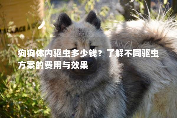 狗狗體內驅蟲多少錢？了解不同驅蟲方案的費用與效果