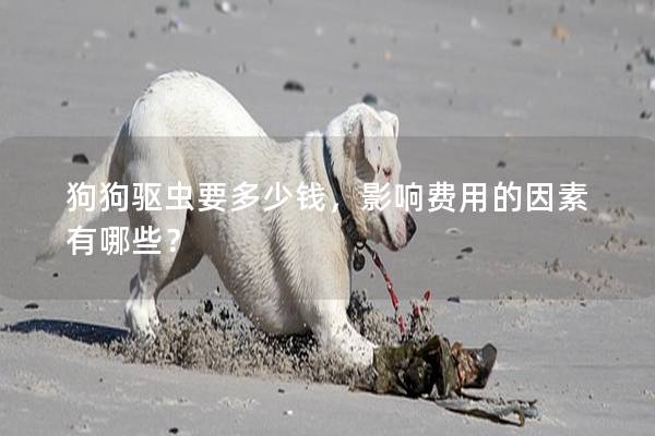 狗狗驅(qū)蟲要多少錢，影響費(fèi)用的因素有哪些？
