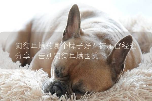 狗狗耳螨藥哪個牌子好？鏟屎官經驗分享，告別狗狗耳螨困擾