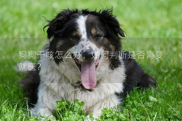 狗狗干咳怎么辦，如何判斷是否需要就醫？
