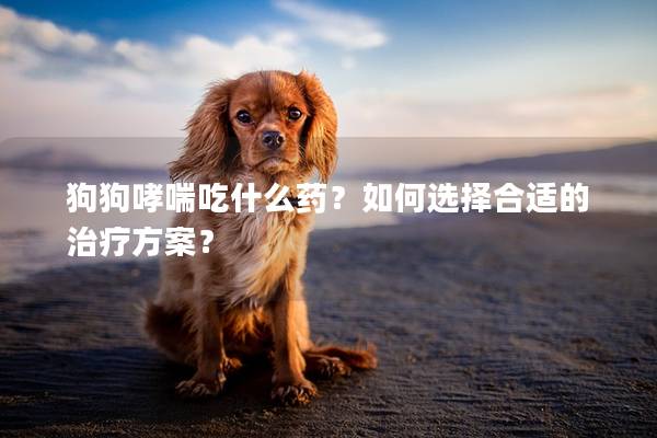 狗狗哮喘吃什么藥？如何選擇合適的治療方案？