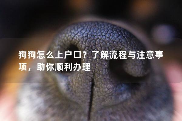 狗狗怎么上戶口？了解流程與注意事項，助你順利辦理