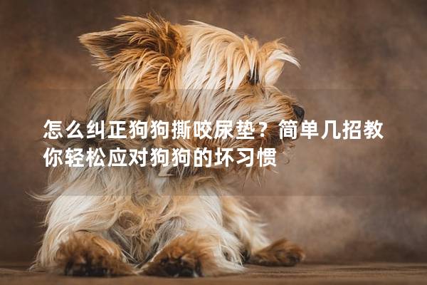 怎么糾正狗狗撕咬尿墊？簡單幾招教你輕松應(yīng)對狗狗的壞習(xí)慣