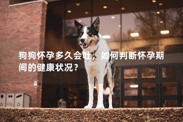 狗狗懷孕多久會(huì)吐，如何判斷懷孕期間的健康狀況？