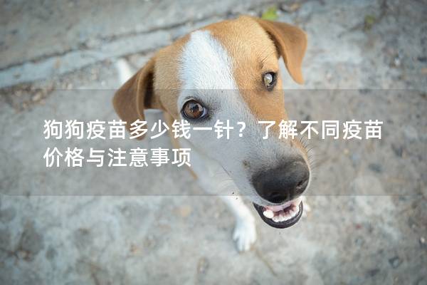 狗狗疫苗多少錢一針？了解不同疫苗價格與注意事項