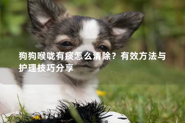 狗狗喉嚨有痰怎么清除？有效方法與護(hù)理技巧分享