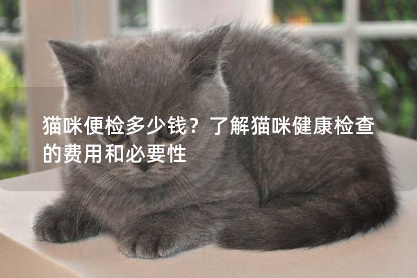 貓咪便檢多少錢？了解貓咪健康檢查的費用和必要性