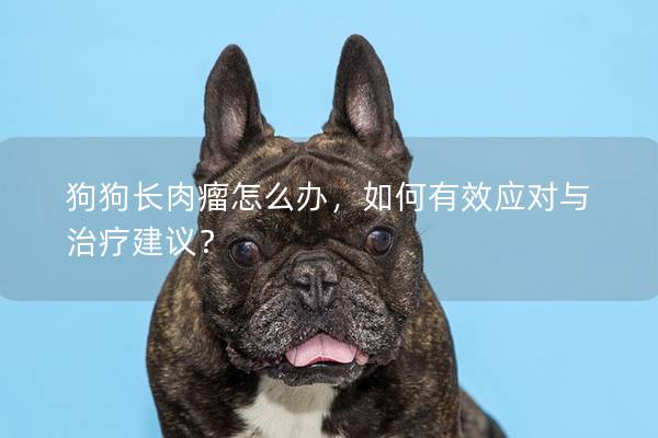 狗狗長肉瘤怎么辦，如何有效應對與治療建議？