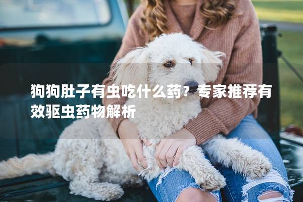 狗狗肚子有蟲吃什么藥？專家推薦有效驅蟲藥物解析