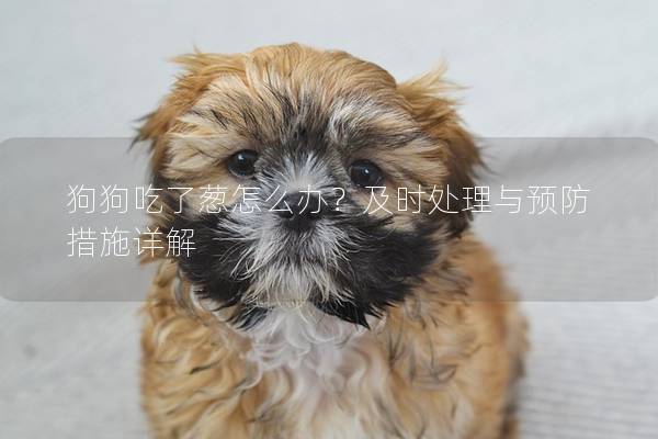 狗狗吃了蔥怎么辦？及時處理與預防措施詳解
