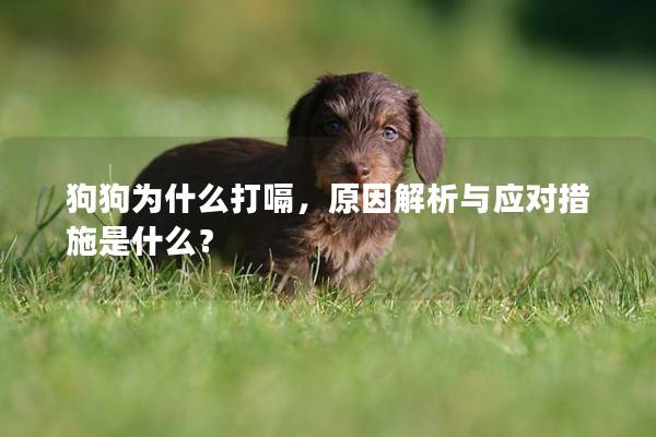 狗狗為什么打嗝，原因解析與應對措施是什么？