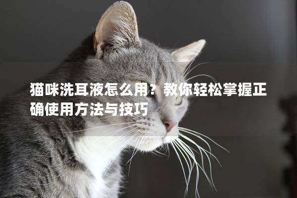 貓咪洗耳液怎么用？教你輕松掌握正確使用方法與技巧