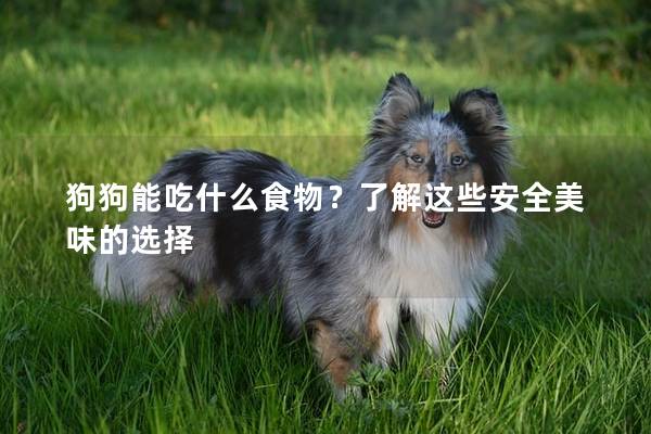狗狗能吃什么食物？了解這些安全美味的選擇