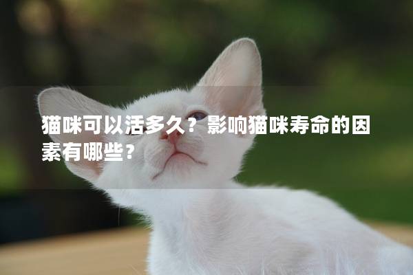 貓咪可以活多久？影響貓咪壽命的因素有哪些？