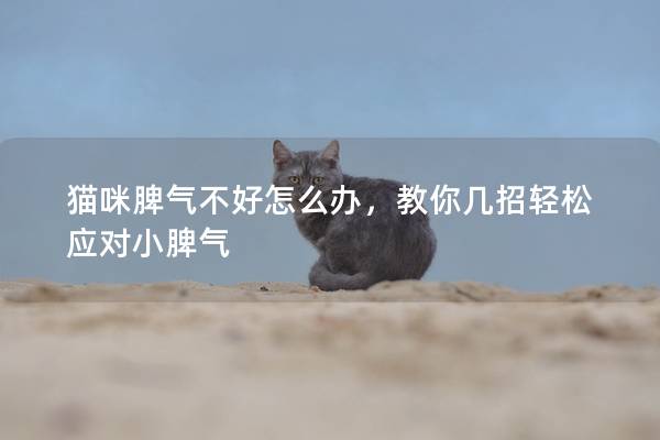 貓咪脾氣不好怎么辦，教你幾招輕松應對小脾氣