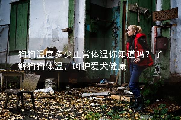 狗狗溫度多少正常體溫你知道嗎？了解狗狗體溫，呵護愛犬健康