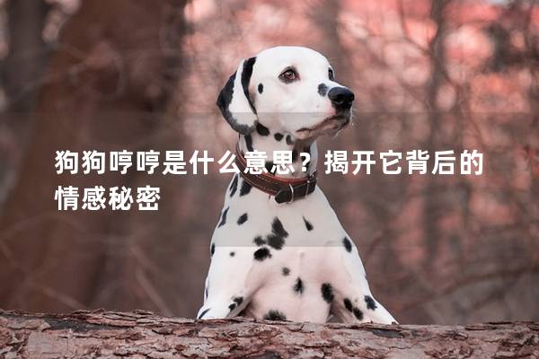 狗狗哼哼是什么意思?揭開它背后的情感秘密 狗狗哼哼是什么意思?揭開它背后的情感秘密