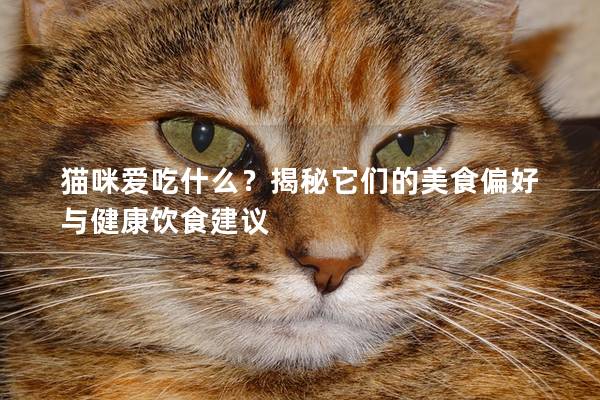 貓咪愛(ài)吃什么？揭秘它們的美食偏好與健康飲食建議