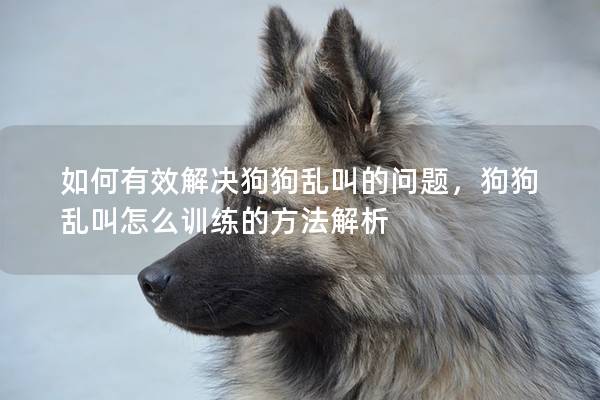 如何有效解決狗狗亂叫的問題，狗狗亂叫怎么訓練的方法解析