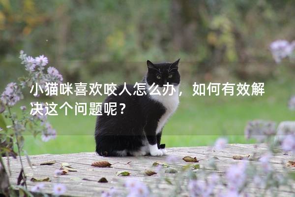 小貓咪喜歡咬人怎么辦，如何有效解決這個問題呢？
