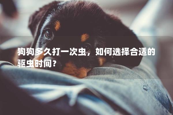 狗狗多久打一次蟲,如何選擇合適的驅蟲時間? 狗狗多久打一次蟲,如何選擇合適的驅蟲時間?