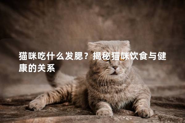 貓咪吃什么發(fā)腮？揭秘貓咪飲食與健康的關(guān)系