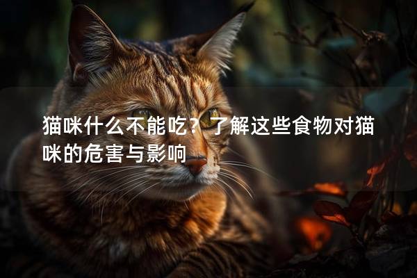 貓咪什么不能吃？了解這些食物對貓咪的危害與影響