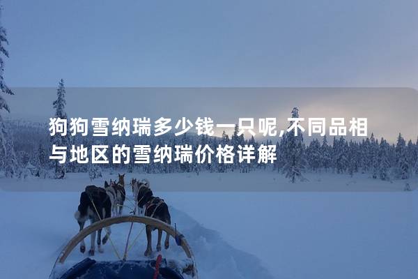 狗狗雪納瑞多少錢一只呢,不同品相與地區(qū)的雪納瑞價(jià)格詳解
