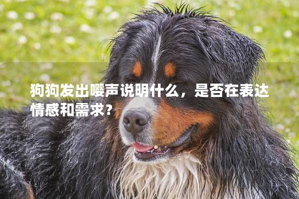 狗狗發出嚶聲說明什么，是否在表達情感和需求？
