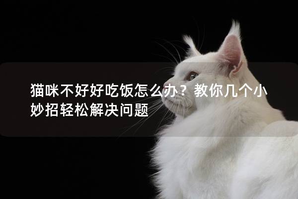 貓咪不好好吃飯怎么辦？教你幾個小妙招輕松解決問題