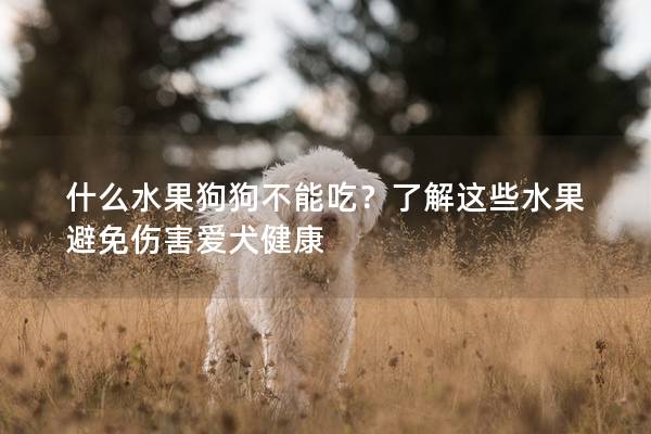 什么水果狗狗不能吃?了解這些水果避免傷害愛(ài)犬健康 什么水果狗狗不能吃?了解這些水果避免傷害愛(ài)犬健康