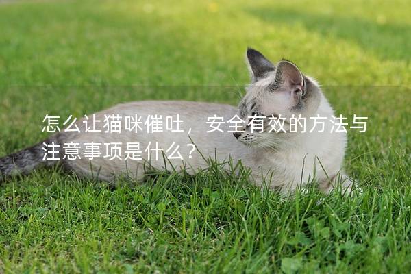 怎么讓貓咪催吐，安全有效的方法與注意事項是什么？