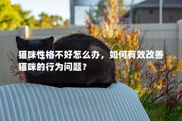 貓咪性格不好怎么辦，如何有效改善貓咪的行為問題？