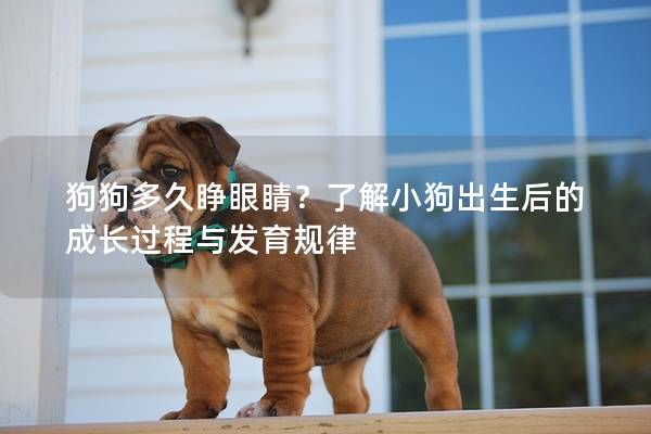 狗狗多久睜眼睛？了解小狗出生后的成長過程與發育規律