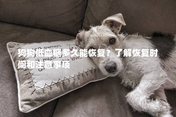 狗狗低血糖多久能恢復(fù)？了解恢復(fù)時間和注意事項