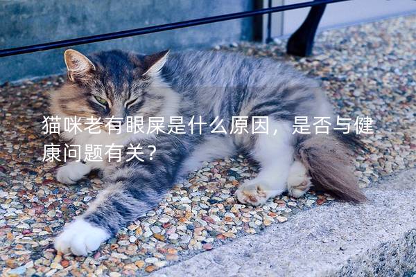 貓咪老有眼屎是什么原因，是否與健康問題有關？