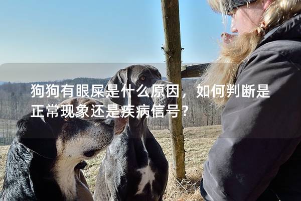 狗狗有眼屎是什么原因,如何判斷是正?,F象還是疾病信號? 狗狗有眼屎是什么原因,如何判斷是正?,F象還是疾病信號?