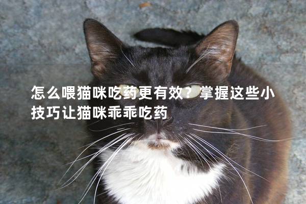 怎么喂貓咪吃藥更有效？掌握這些小技巧讓貓咪乖乖吃藥