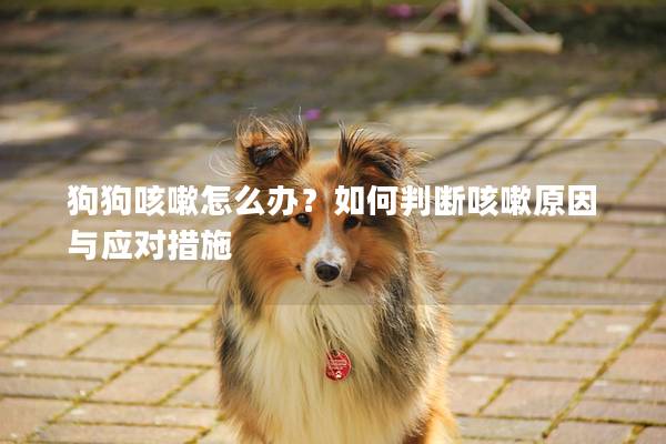 狗狗咳嗽怎么辦？如何判斷咳嗽原因與應(yīng)對(duì)措施