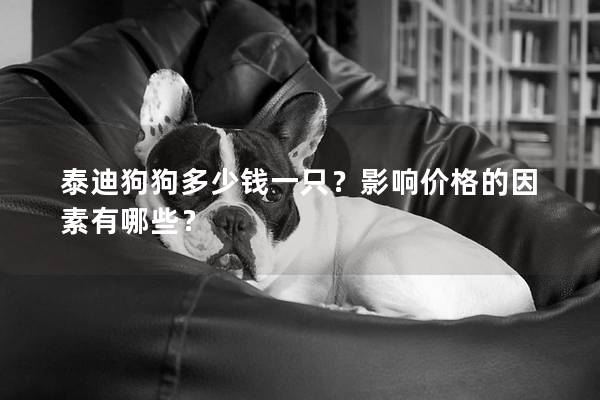 泰迪狗狗多少錢一只？影響價格的因素有哪些？