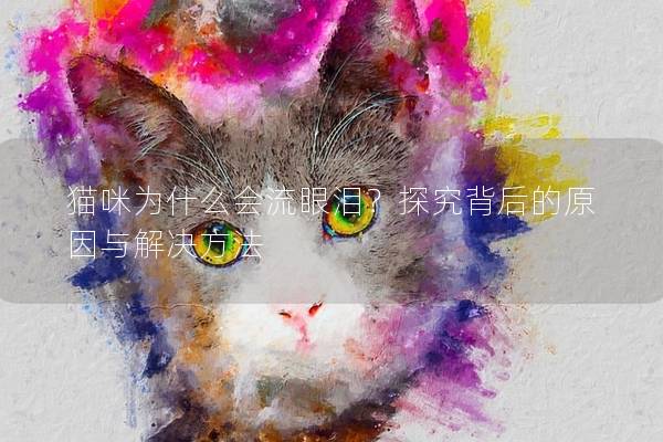 貓咪為什么會(huì)流眼淚？探究背后的原因與解決方法