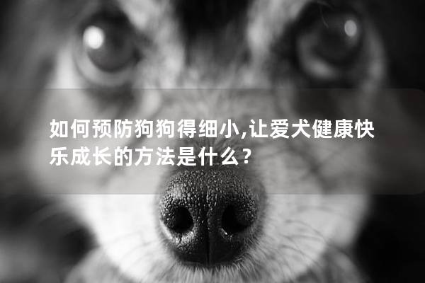 如何預(yù)防狗狗得細(xì)小,讓愛犬健康快樂成長(zhǎng)的方法是什么？
