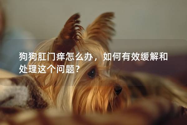 狗狗肛門癢怎么辦，如何有效緩解和處理這個(gè)問題？